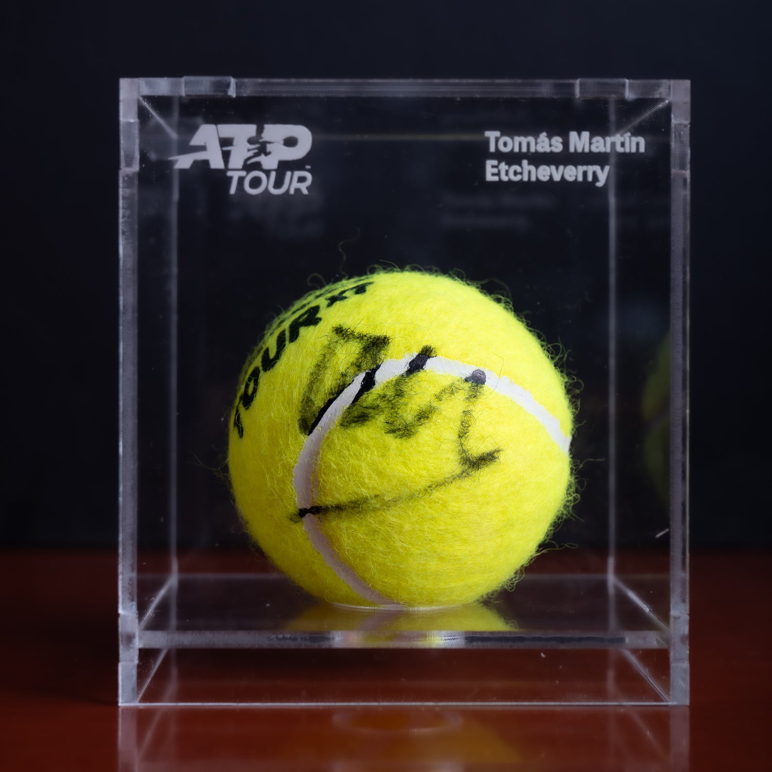 Pelota Firmada - Tomás Martín Etcheverry